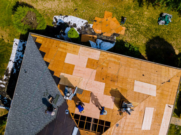 Best Roof Leak Repair  in Kemp, TX